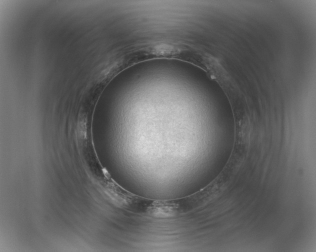 X0000078230368200611101015