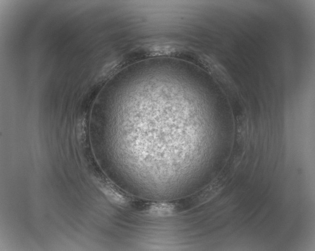 X0000078230369200611101015