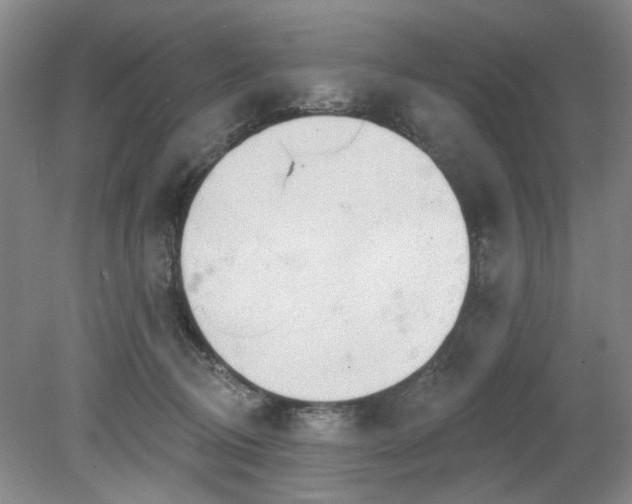 X0000078230370200611101016