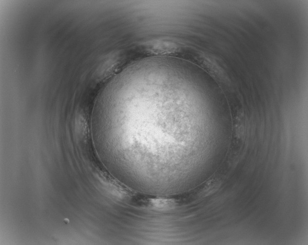 X0000078230371200611101016