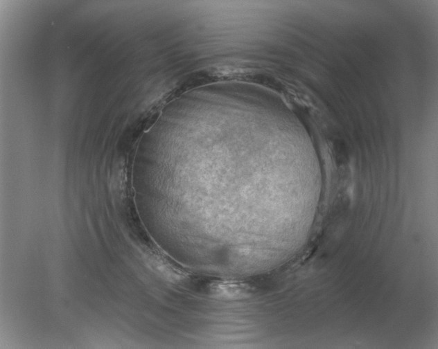 X0000078230372200611101016