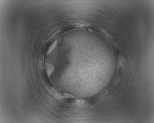 X0000078230376200611101016