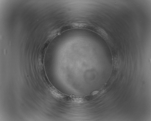 X0000078230377200611101016