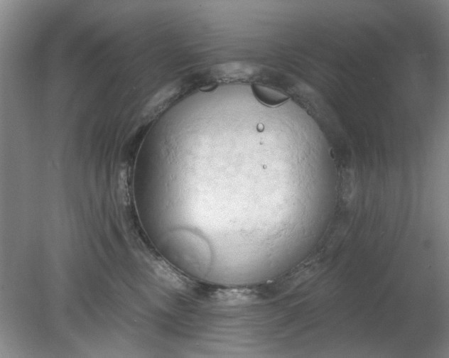 X0000078230378200611101016