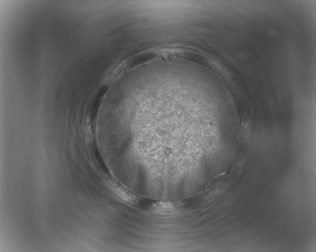 X0000078230381200611101016