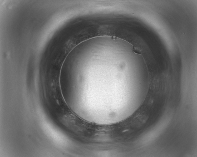 X0000078230382200611101016