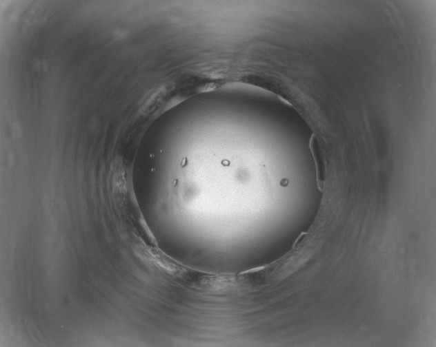 X0000078230384200611101016