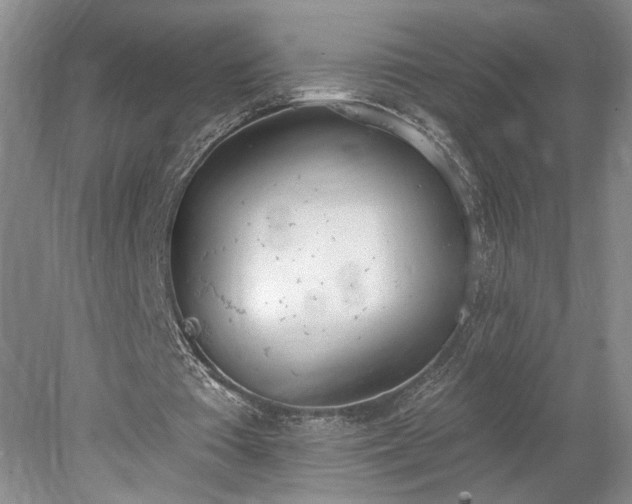 X0000078230385200611101015