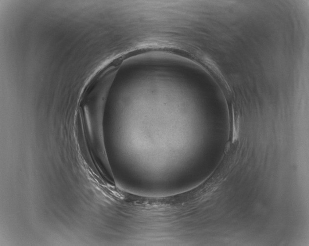 X0000078230387200611101015