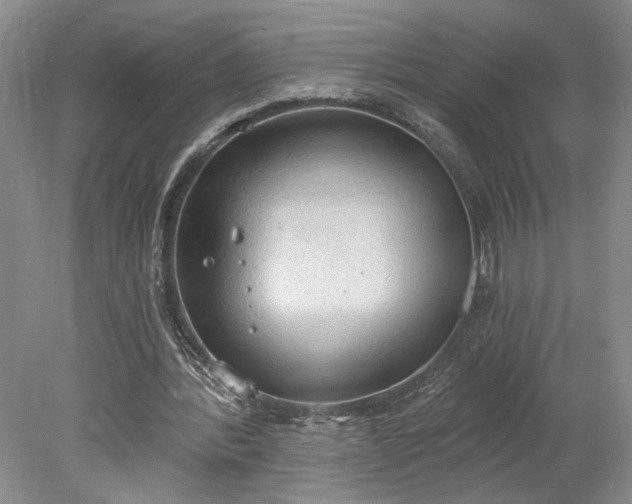 X0000078230388200611101015