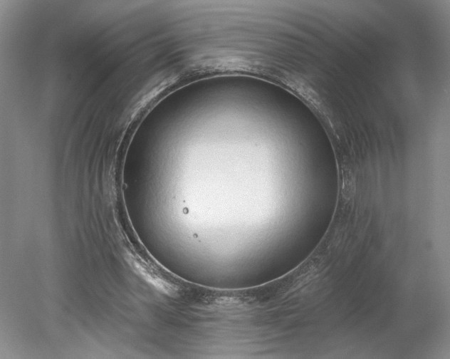 X0000078230390200611101015