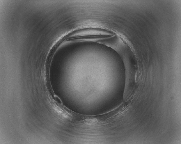 X0000078230391200611101015