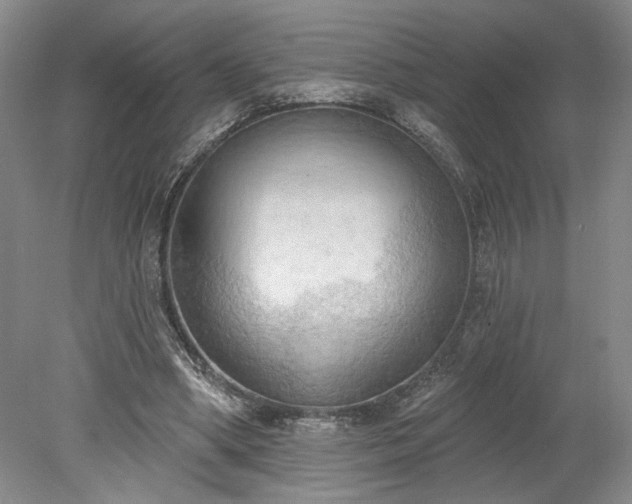 X0000078230394200611101015