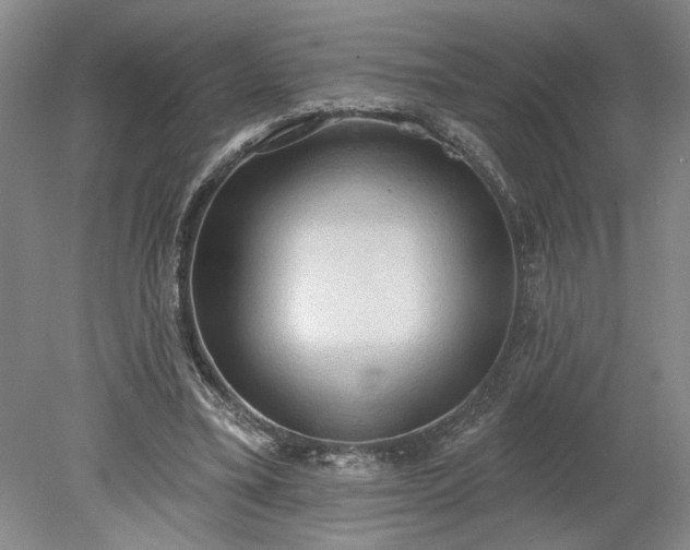 X0000078230395200611101015