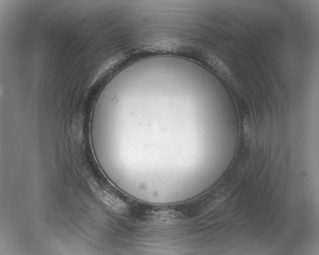 X0000078230396200611101015