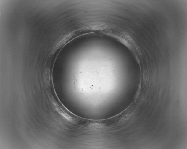 X0000078230397200611101015