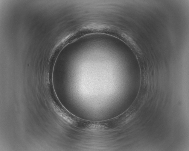 X0000078230399200611101015