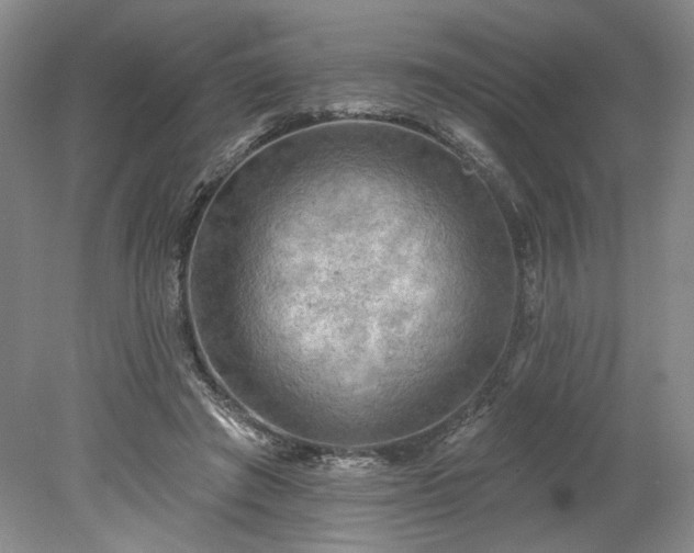 X0000078230401200611101015