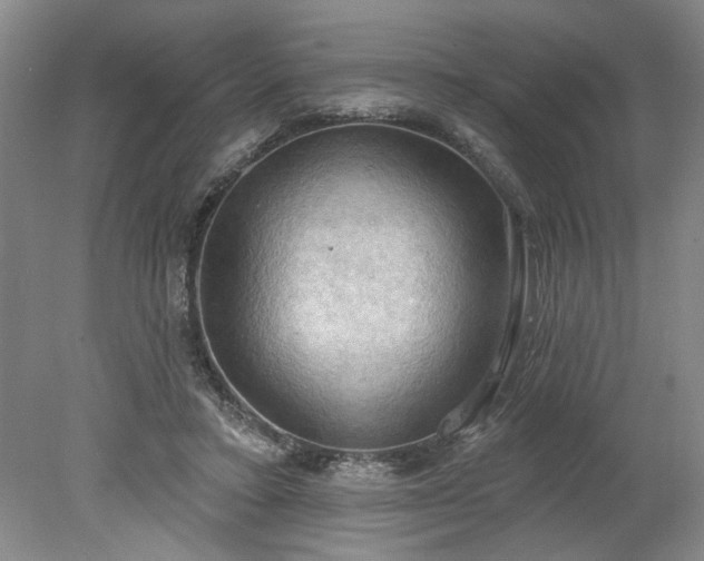 X0000078230403200611101015