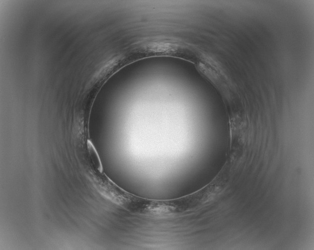 X0000078230407200611101015