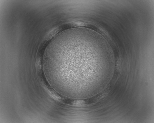 X0000078230410200611101015