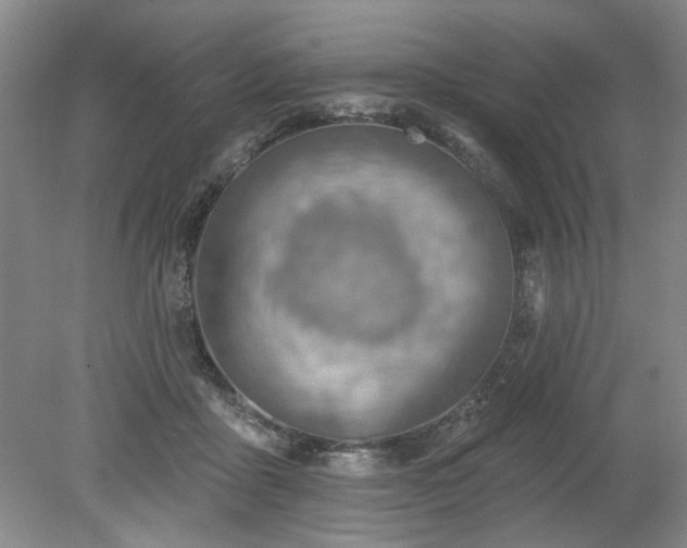 X0000078230411200611101015