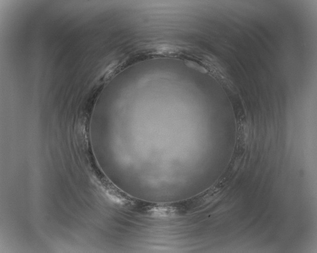 X0000078230415200611101014