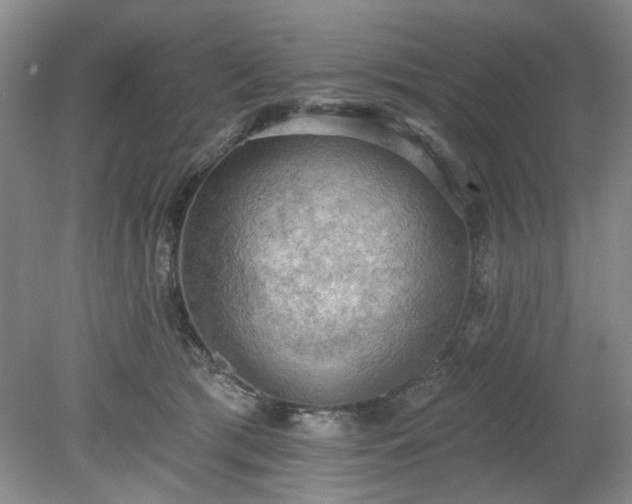 X0000078230417200611101014