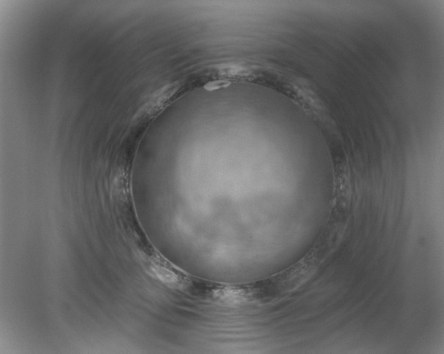 X0000078230419200611101014