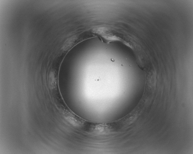 X0000078230420200611101014