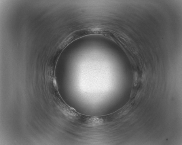 X0000078230421200611101014