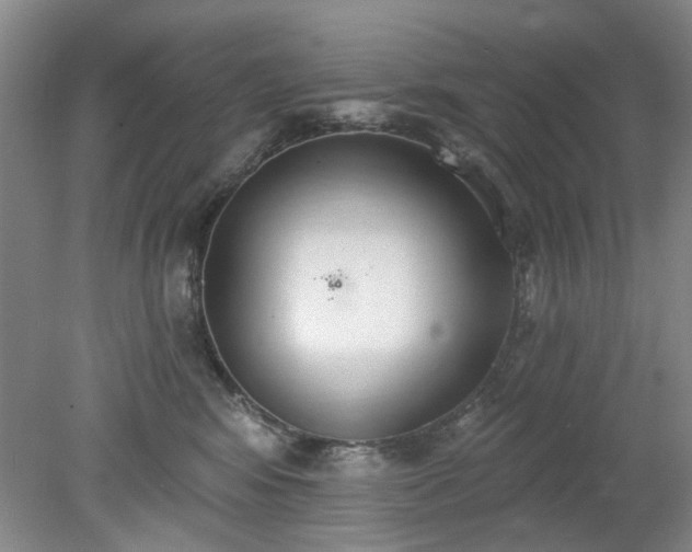 X0000078230424200611101014