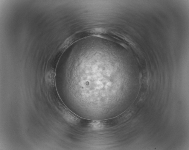 X0000078230425200611101014