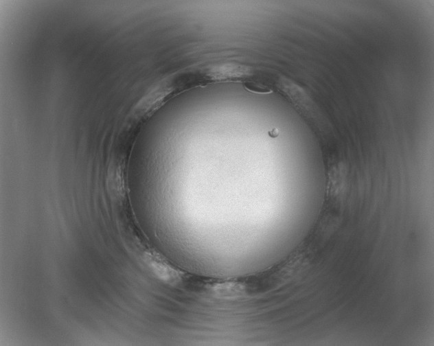 X0000078230426200611101014