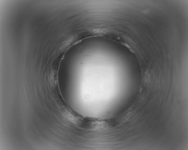 X0000078230428200611101014