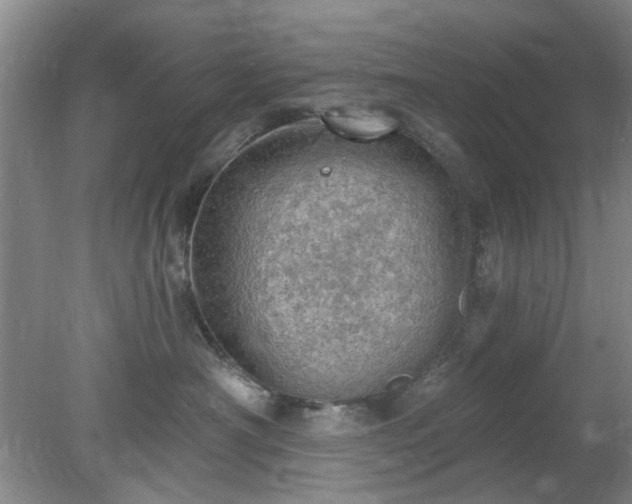 X0000078230430200611101014