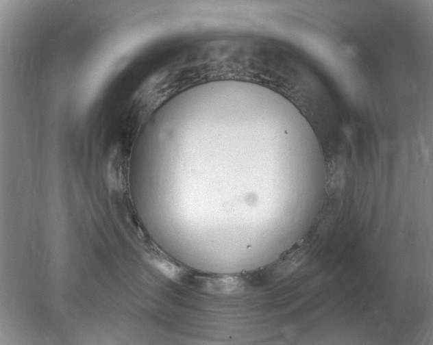 X0000078230431200611101014