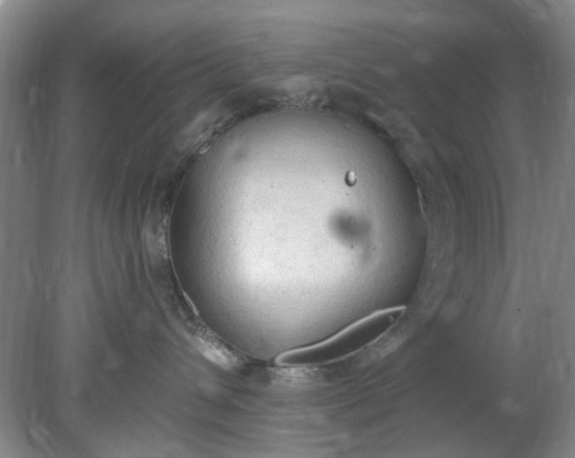 X0000078230432200611101014