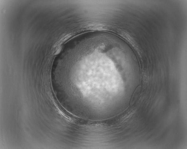 X0000078230433200611101013