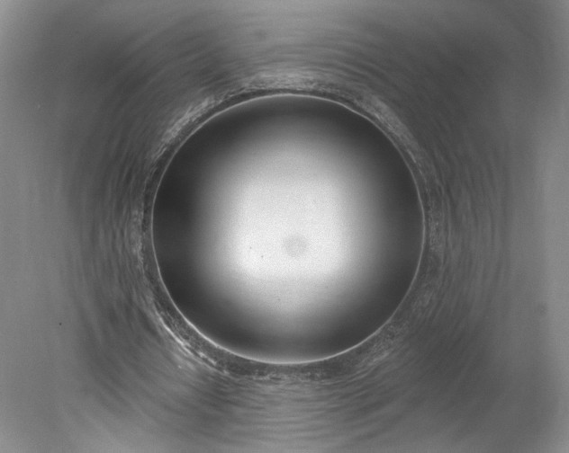 X0000078230434200611101013