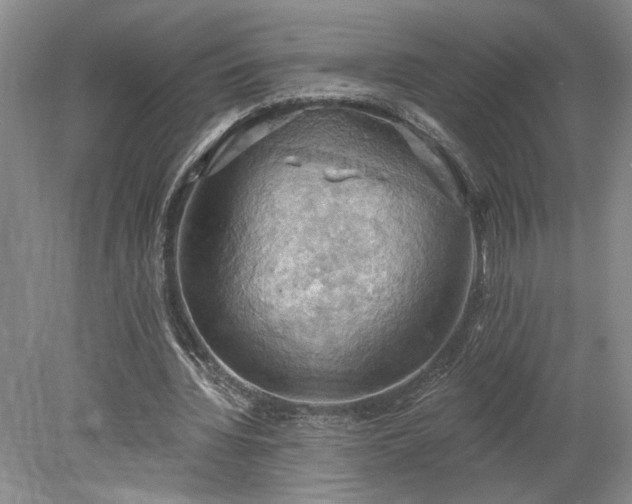 X0000078230436200611101013