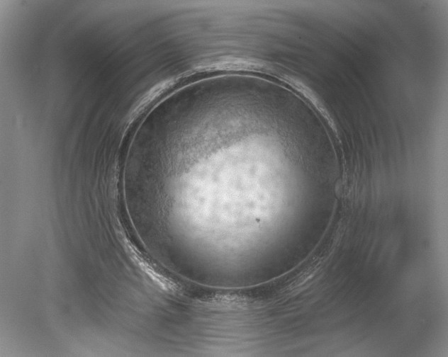 X0000078230437200611101013