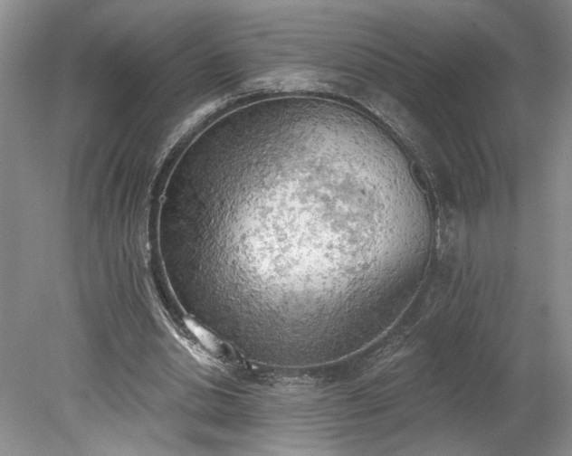 X0000078230438200611101013