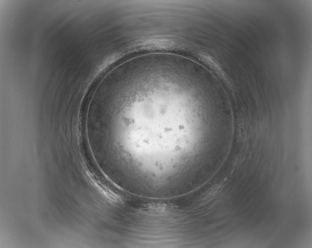 X0000078230439200611101013