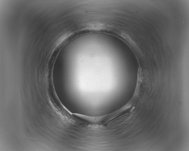 X0000078230440200611101013