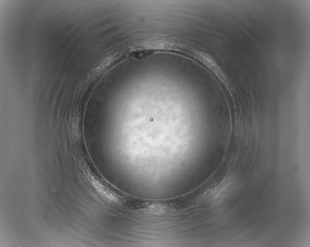 X0000078230441200611101013