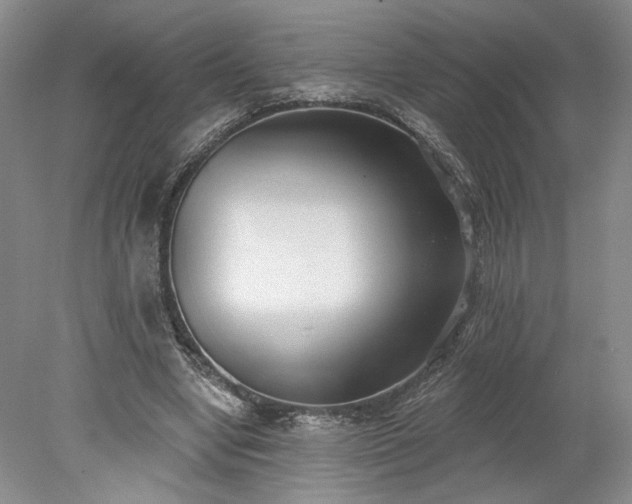 X0000078230442200611101013