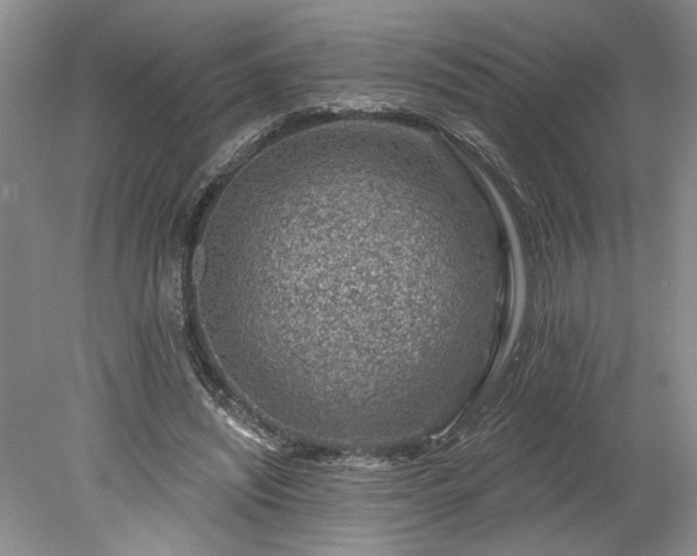 X0000078230444200611101014