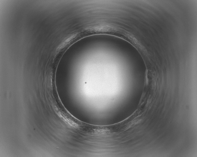 X0000078230446200611101014