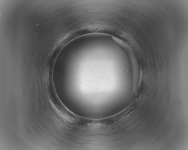 X0000078230448200611101014